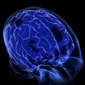 mainbrainthumbnail